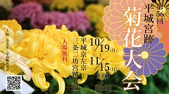 第56回平城宮跡菊花大会を開催の画像