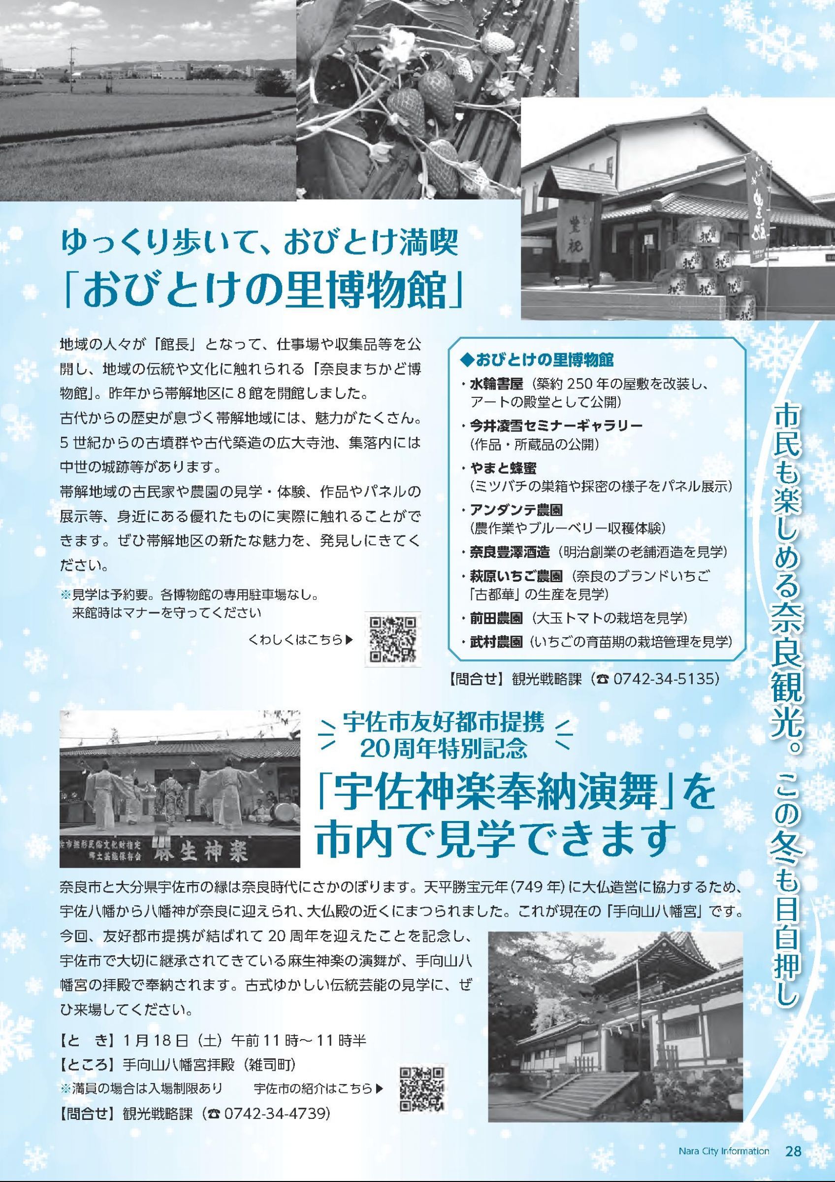 ウェブブック - 令和7年1月1日号webブック　12～34p 17ページ目