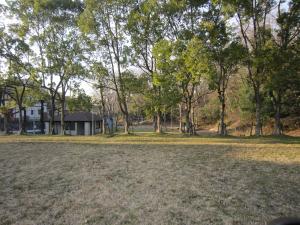 青山近隣公園の画像