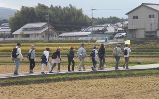 写真「田畑をウォーキング」