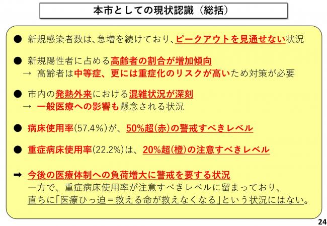 本市としての現状認識(総括)
