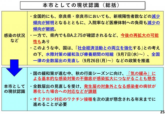 本市としての現状認識(総括)