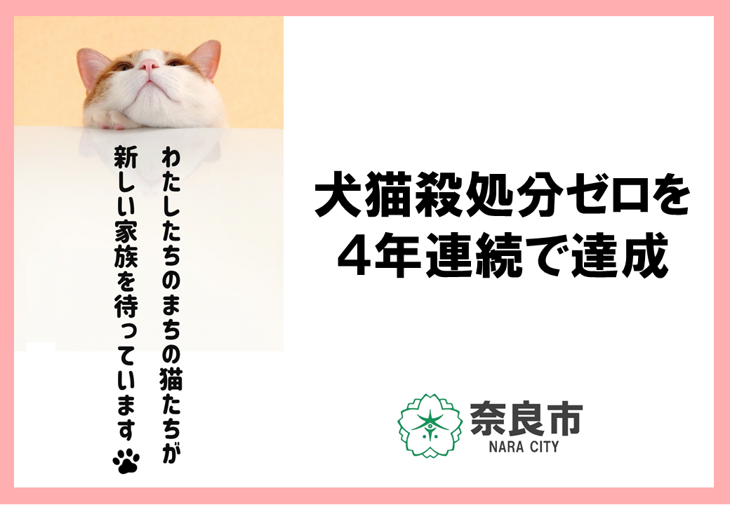 犬猫殺処分ゼロを4年連続で達成 スライドタイトル画像