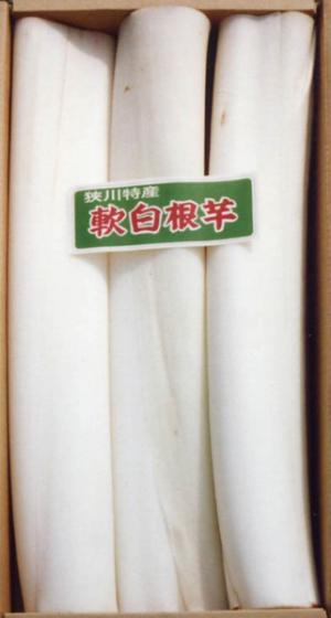 軟白ずいき2