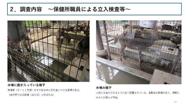 左側:水場に鹿が入っている様子(発情期(9~11月頃)のオス鹿は体に泥を塗りつける習慣がある。(自然界では沼田場(ぬたば)と呼ばれる)) 右側:水場の様子(小鹿にも給水できるように低く設置されている。自動給水設備があり、頻繁に水の入れ替えが可能。)
