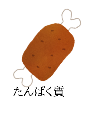 お肉はたんぱく質を含みます。