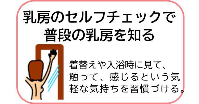 ご自身の乳房の状態を知る（着替えや入浴などの際に乳房を見て、触って、感じて乳房を意識的に自覚します。）