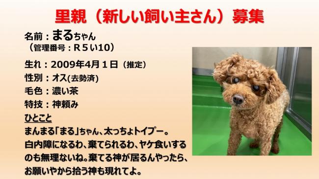 ま