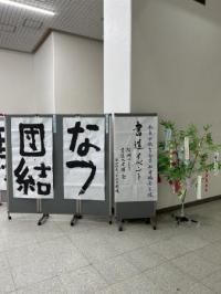 展示