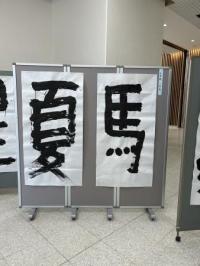 展示