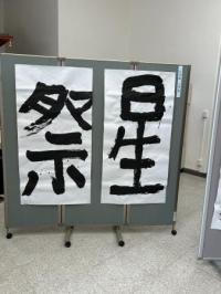 展示
