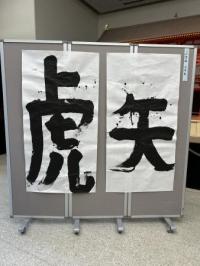 展示