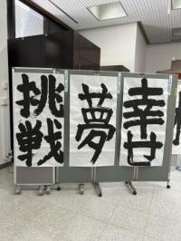 展示
