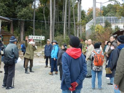 大亀谷国有林入口