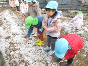 雪冷たいね