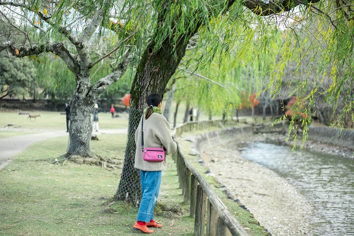 奈良公園を散歩する御手洗さん