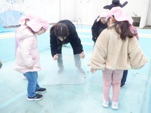 大きくて分厚い氷にびっくり