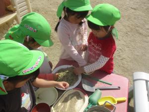 4歳児園庭でままごとをする様子