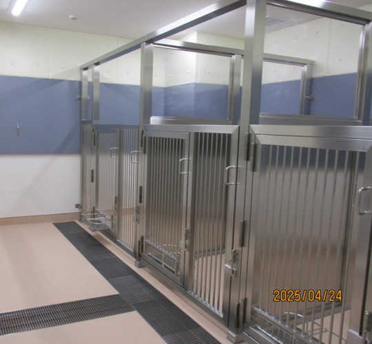 地下犬舎改修 画像