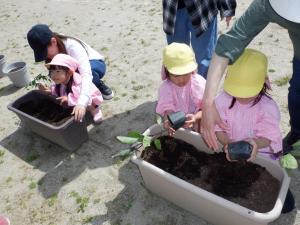 佐保幼　5月保育参観6