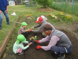 キュウリの苗を植える子ども