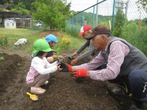 ナスビの苗を植える子ども