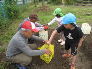 苗に囲いをつけている子ども