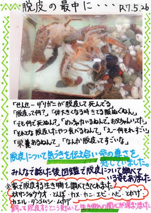 ああ