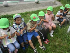 4歳児公園でおやつを食べる様子