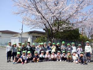 桜