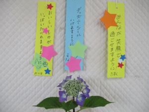 6月のカレンダー17