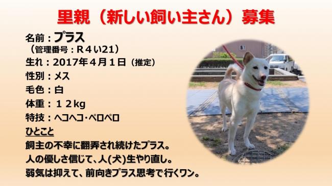 ぷらす