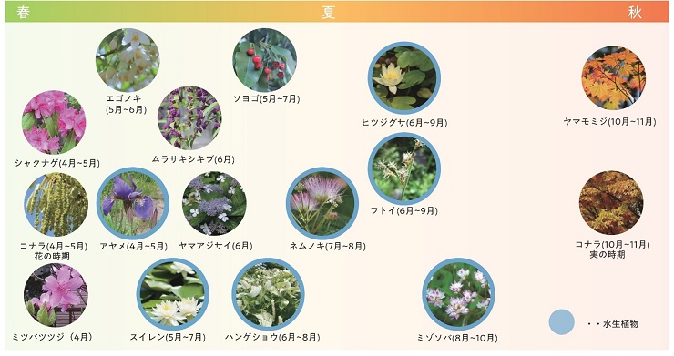 四季折々の植栽