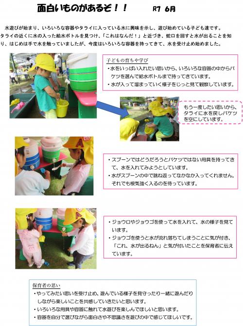 面白いものが