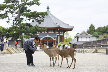 鹿とふれあう写真