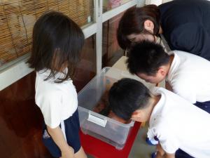 佐保幼　生き物観察