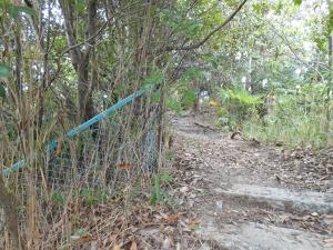 公売財産（宅地）の外観④