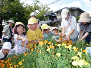 佐保幼　9月花摘み