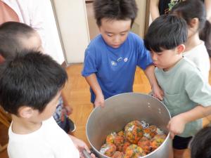佐保幼　染色体験2