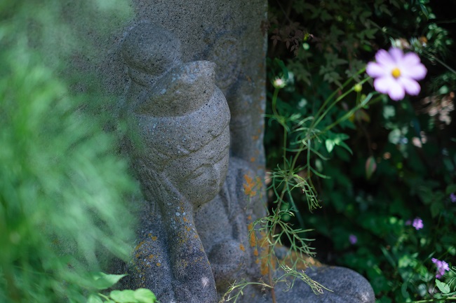 般若寺のアジサイ3 (photo by mitto) 季節