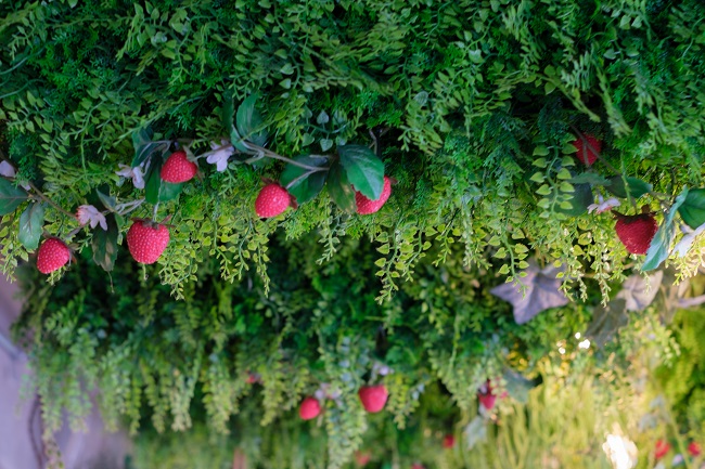 ナナイロフルウツ2(photo by mitto)おいしい