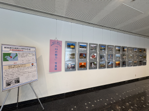 写真が展示されいる画像