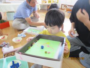 どんぐり13