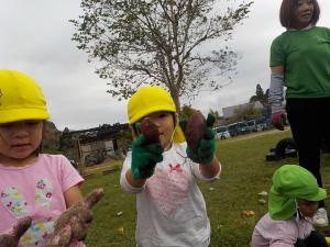 サツマイモを見つけて見せる3歳児