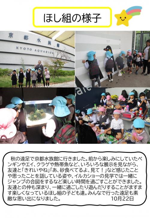 ほし組の様子