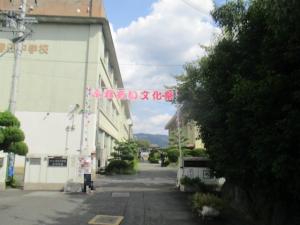 文化祭の看板