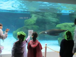 アザラシの水槽を見る子ども