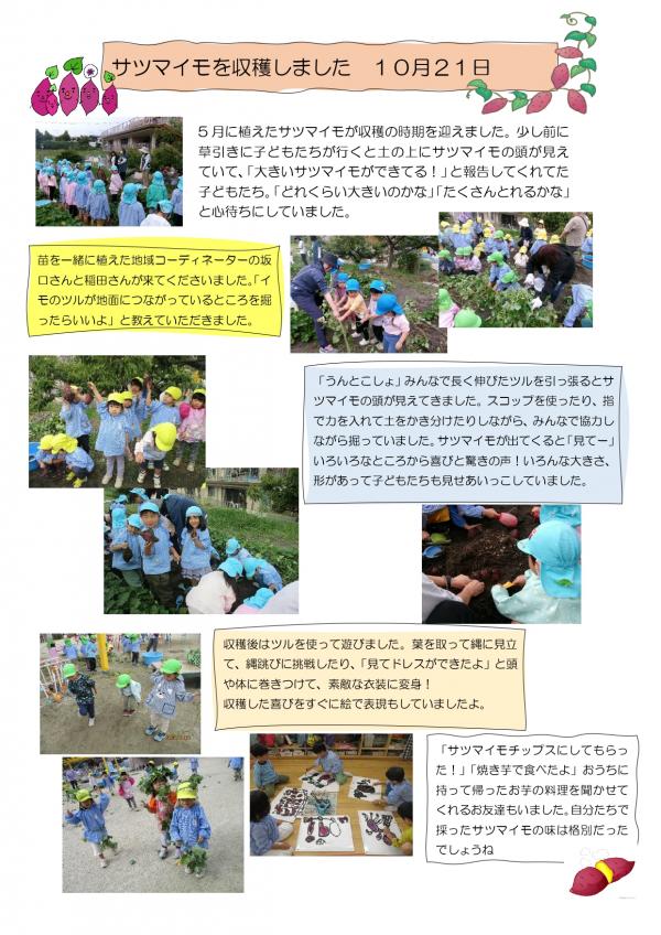 さつまいも