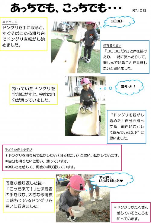 どんぐり1