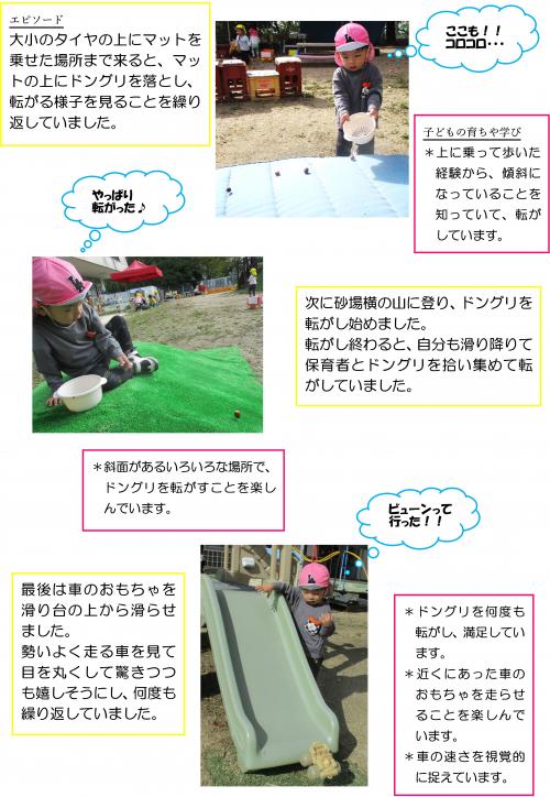 どんぐり2